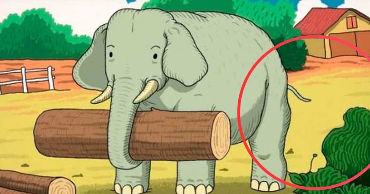 resilienciamag.com - Desafio visual: Voc&ecirc; consegue encontrar o animal escondido na imagem? QUASE NINGU&Eacute;M DESCOBRIU!!