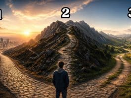 resilienciamag.com -