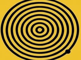 resilienciamag.com - resilienciamag.com -