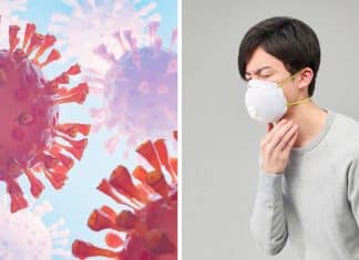 Surto de hantavírus coloca autoridades em alerta e reacende medo de uma nova pandemia