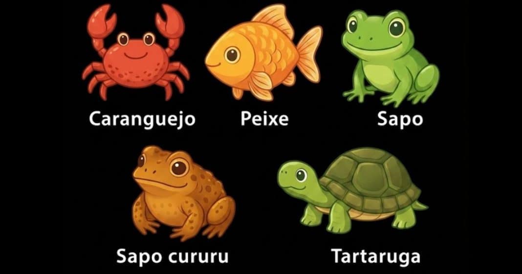 Teste visual: escolha o diferente e descubra o quão complexo é o seu modo de pensar