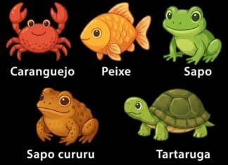 Teste visual: escolha o diferente e descubra o quão complexo é o seu modo de pensar