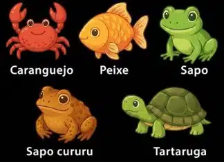 Teste visual: escolha o diferente e descubra o quão complexo é o seu modo de pensar