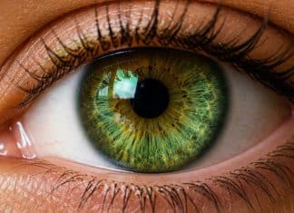 Pessoas com olhos verdes são especiais? Conheça 7 curiosidades que tornam essa cor tão rara