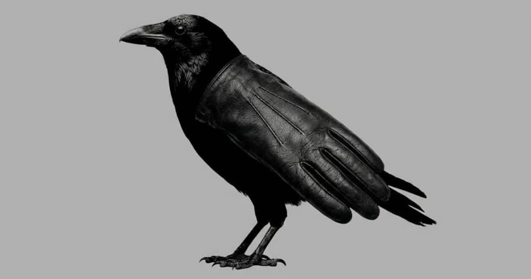 O que seus olhos identificam primeiro nesta imagem? A resposta revela se você é uma pessoa violenta