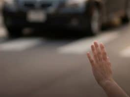 resilienciamag.com -