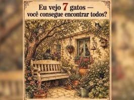 resilienciamag.com -