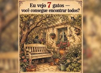 Desafio visual: você consegue encontrar os 7 gatos escondidos neste jardim antes de ver a resposta?