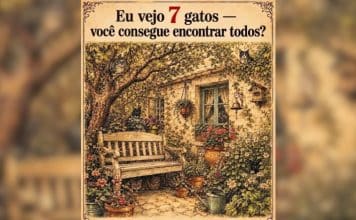 resilienciamag.com -
