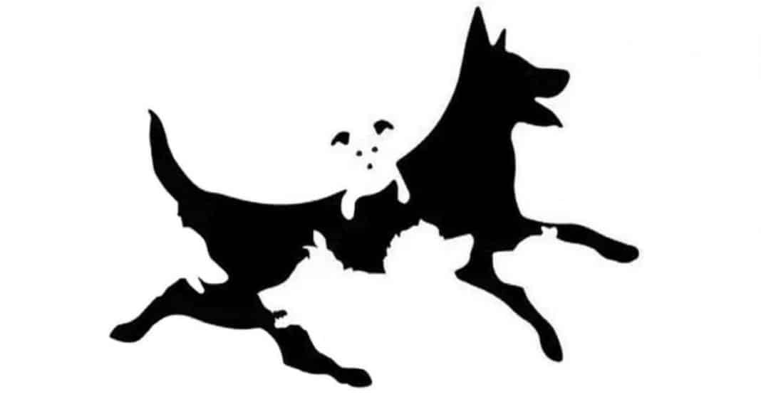 Quantos cães você vê aqui? Quase ninguém responde igual, e o seu número pode revelar a sua idade mental